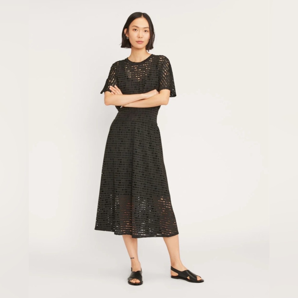 Everlane Eyelet Waisted Dress